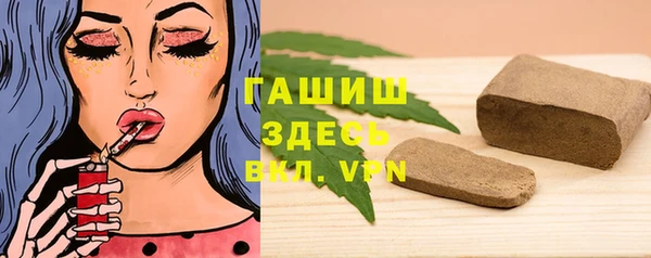 мдпв Каменка