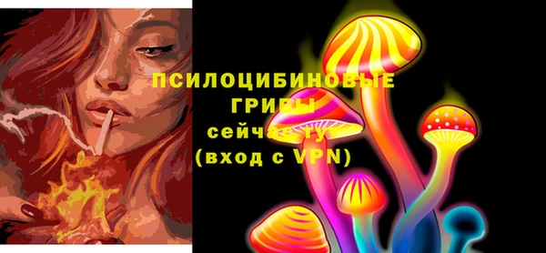 мдпв Каменка