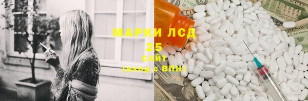 мдпв Каменка