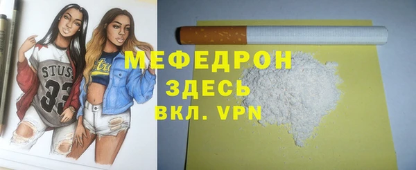 мдпв Каменка
