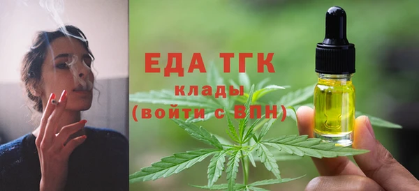 мдпв Каменка