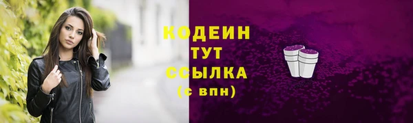 мдпв Каменка