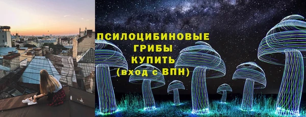 мдпв Каменка