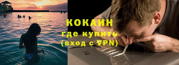 мдпв Каменка